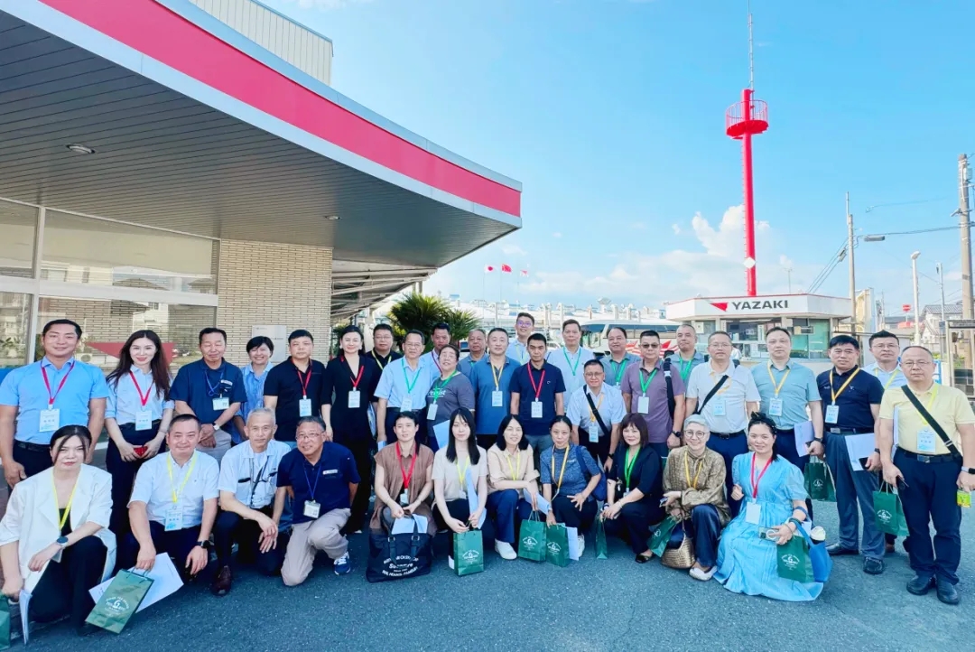 20240913106232.jpg 1.jpg